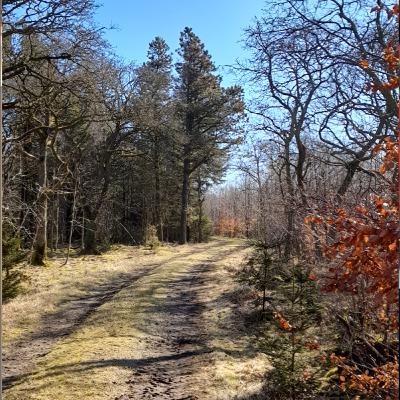 kennet andersen podcast eliminating negativity nr 3 20 nov 2023 nr 619 kennet andersen podcast eliminating negativity nr 3 20 nov 2023 nr 619