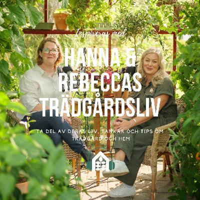 Poddavsnitt 148 – Lyckas med försådderna