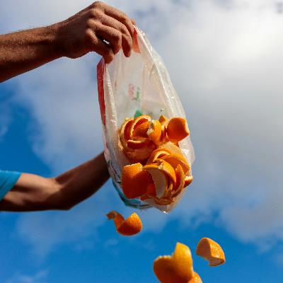 Closing the Food Waste Circle in Guimarães