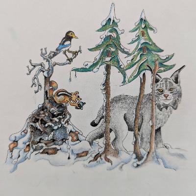 Canada Lynx and Home Range Wildlife Research