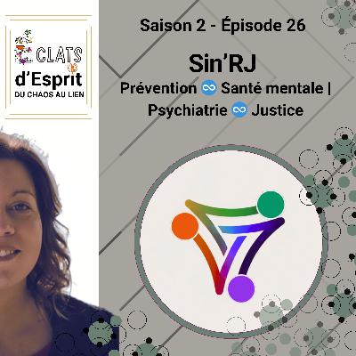 Sin’RJ : Prévention ♾️ Santé mentale | Psychiatrie ♾️ Justice