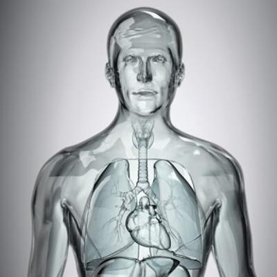 Personas sentiditas (cristalitos)