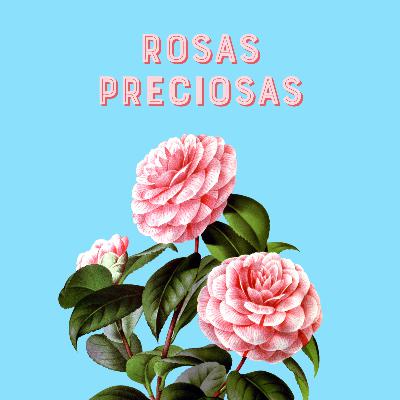 S2 Ep16: Rosas Preciosas
