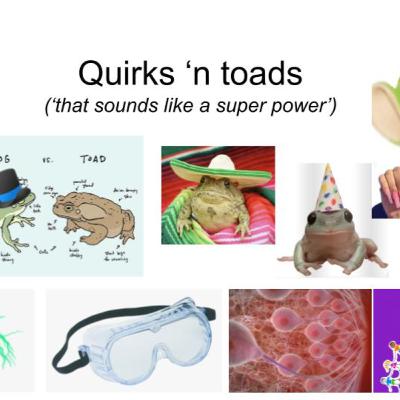 Quirks