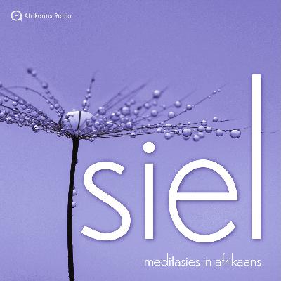 Fokus en Helderheid in die oomblik