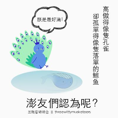 #002 高傲得像隻孔雀，卻孤單的像隻落單的鯨魚？