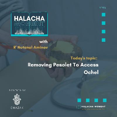 Removing Pesolet To Access Ochel - Halacha Moment