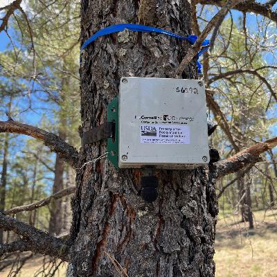 Earth Notes: Acoustics for Conservation