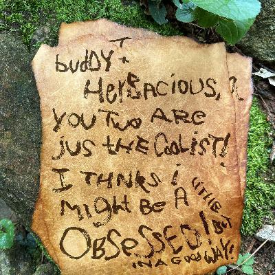 Bud & Herb's fun bags of fan mail #3 Bud & Herb's fun bags of fan mail #3