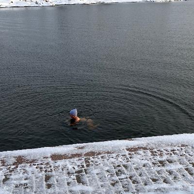 Musing - Why Finland Musing - Why Finland