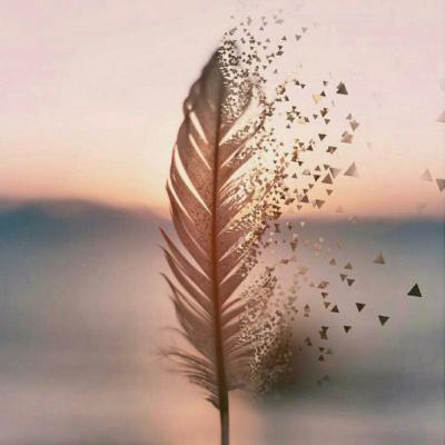 Ditolak & Tidak Dipercaya