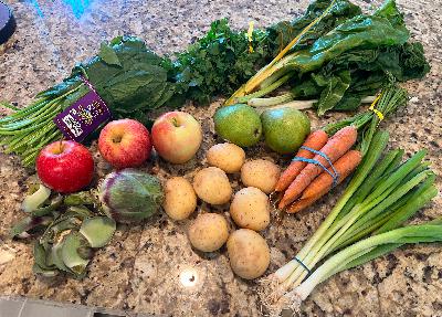 Culinary Healing and Intuitive Cooking Experiment with Chef Martin