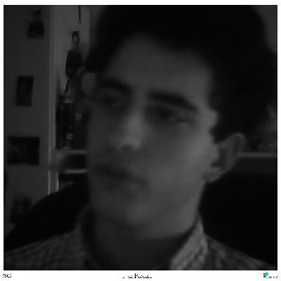 Inês Pereira Inês Pereira