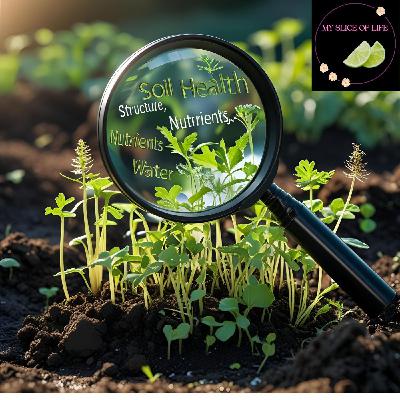 7. Weeds Aren't The Problem - They're The Clue