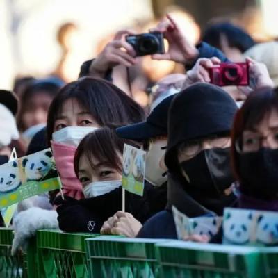 第95期：小历史I 上野空了，东京哭了，大熊猫如何治愈日本50年