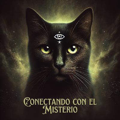 Hola ... he vuelto...