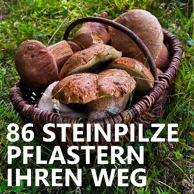 #86 Steinpilze pflastern ihren Weg