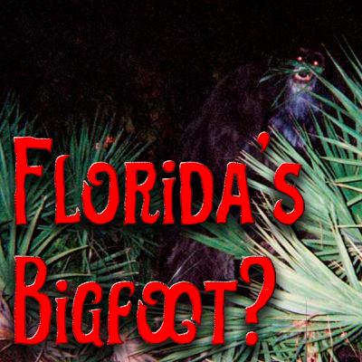 Der Bigfoot des Südens: Skunk Apes in Florida - Legende oder Realität? Der Bigfoot des Südens: Skunk Apes in Florida - Legende oder Realität?