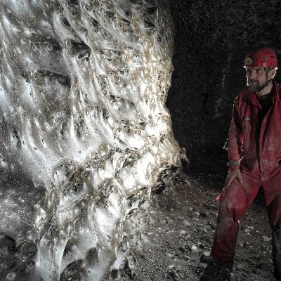Griechenland - Forscher entdecken größtes Spinnen-Netz der Welt Griechenland - Forscher entdecken größtes Spinnen-Netz der Welt