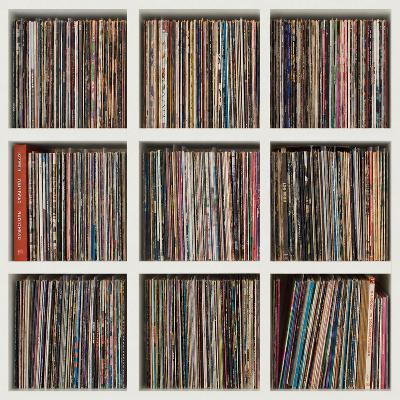 The Completist