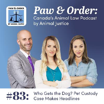 #83: Who Gets the Dog? Pet Custody Case Makes Headlines