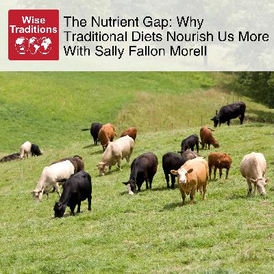 545: The Nutrient Gap: Why Traditional Diets Nourish Us More With Sally Fallon Morell