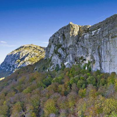 La Sainte-Baume, forêt sacrée