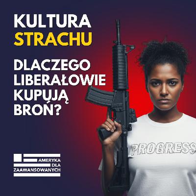 Prawo do broni w USA: dlaczego Ameryka coraz bardziej się boi i zbroi? Prawo do broni w USA: dlaczego Ameryka coraz bardziej się boi i zbroi?