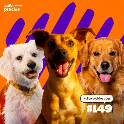 Hollywood dos dogs | #149