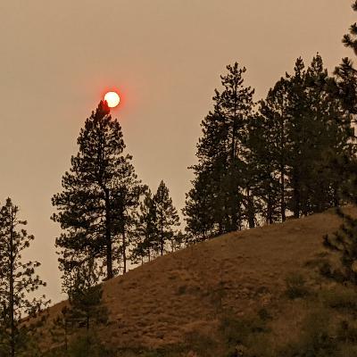 Free episode for all title Free episode for all title