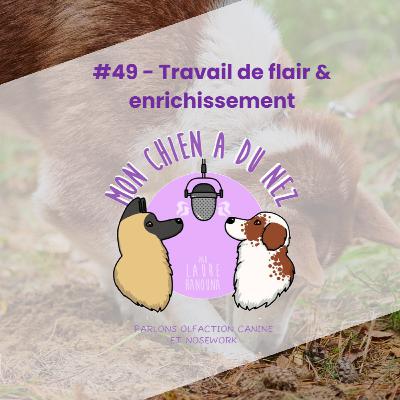 #49 - Travail de flair & enrichissement