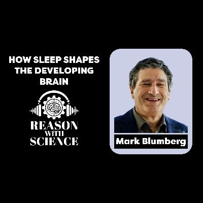 How sleep shapes the developing Brain with Mark Blumberg I Infant sleep neuroscience I Podcast