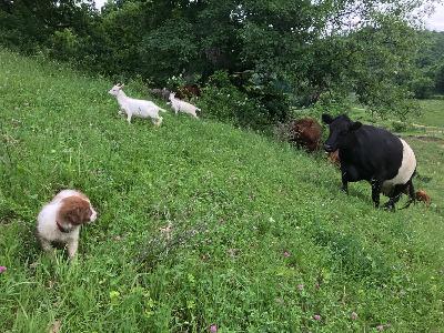 september 2024 september 2024