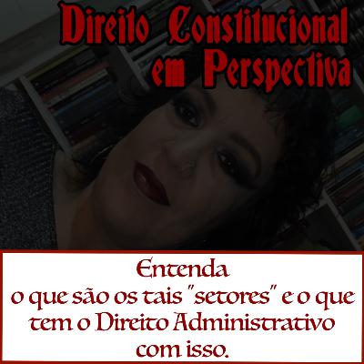 Setores sociais e mais lições de Direito Administrativo Setores sociais e mais lições de Direito Administrativo
