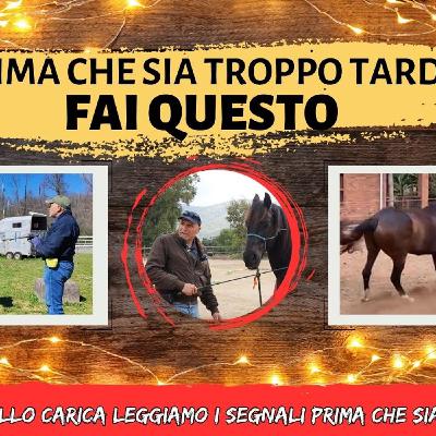 # 160 - Cavallo che carica - analizziamo un caso reale