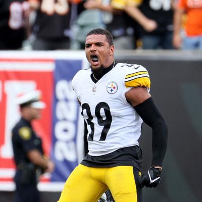 Huge Steelers Win but at a cost