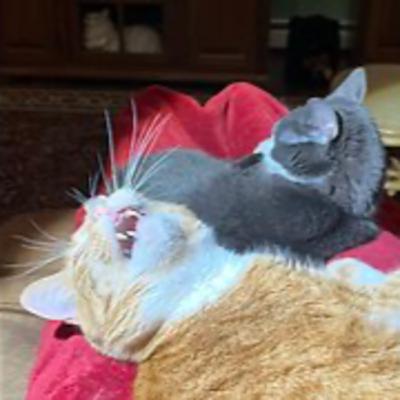 Episode 3027 CWSA 11/23/25