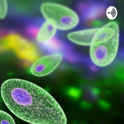 La toxoplasmosis