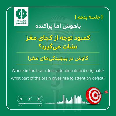 (جلسه پنجم، پارت اول) کمبود توجه از کجای مغز نشات می‌گیرد؟