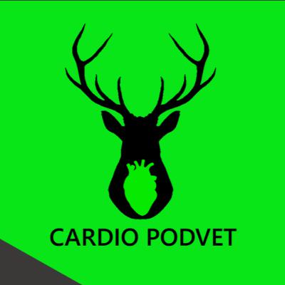 S33. Manejo soplos incidentales y screening en pequeños animales