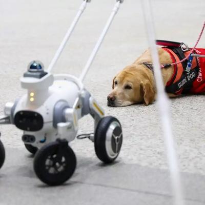 TIn quốc tế - Tàu điện ngầm ở Thâm Quyến ra mắt dịch vụ chó dẫn đường thông minh đầu tiên trên thế giới TIn quốc tế - Tàu điện ngầm ở Thâm Quyến ra mắt dịch vụ chó dẫn đường thông minh đầu tiên trên thế giới