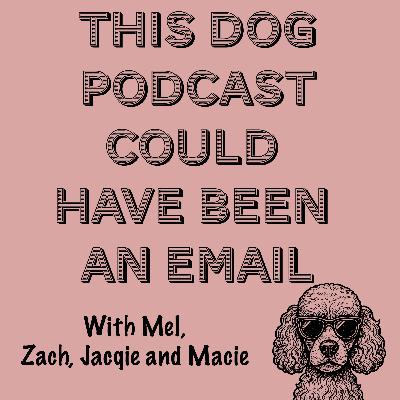 Logging Off to Tune In: Macie’s Honest Break from Social Media. Logging Off to Tune In: Macie’s Honest Break from Social Media.