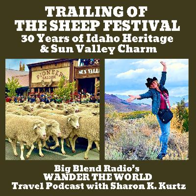 Trailing of the Sheep Festival: 30 Years of Idaho Heritage & Sun Valley Charm