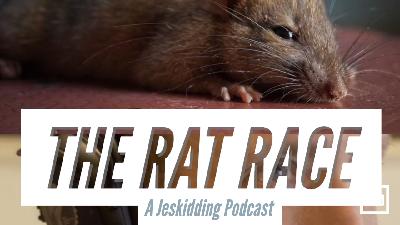 24. The RAT RACE of life!