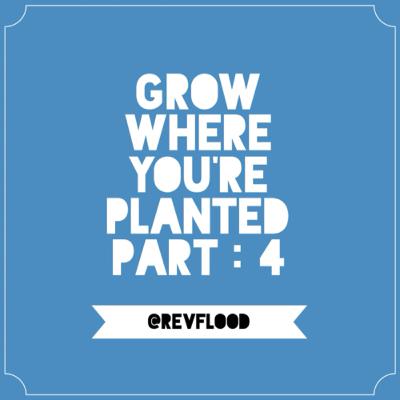Episode 12: Grow Where You’re Planted Part. 4