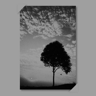 Sesuatu yang Tumbuh Diam-diam - Fiersa Besari (Garis Waktu) Sesuatu yang Tumbuh Diam-diam - Fiersa Besari (Garis Waktu)