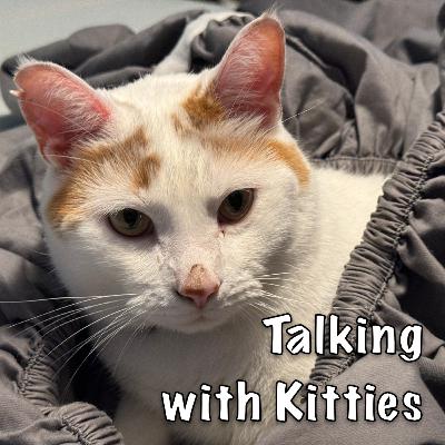 Unexpected Self-Reflection Unexpected Self-Reflection