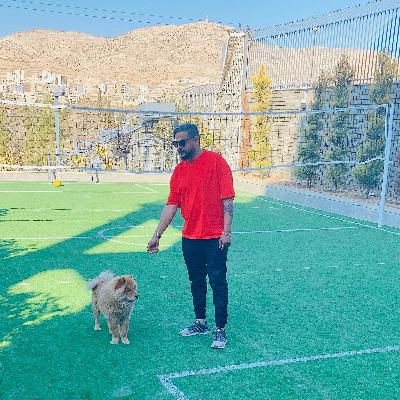 بوسه اتفاقي با صدا مجيد شجاعي