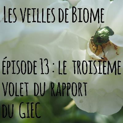 Les veilles de Biome - épisode 13 : le troisième volet du rapport du GIEC