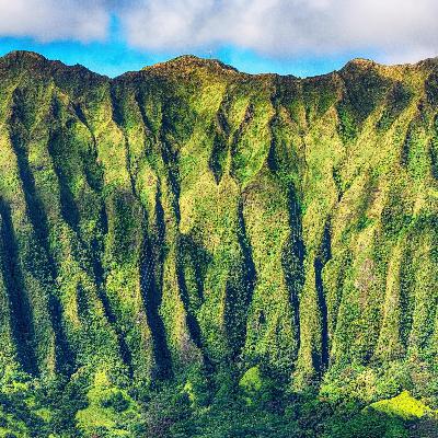 The Insurance Industry in Hawaii - Ellen Mimori, RLI Corp.